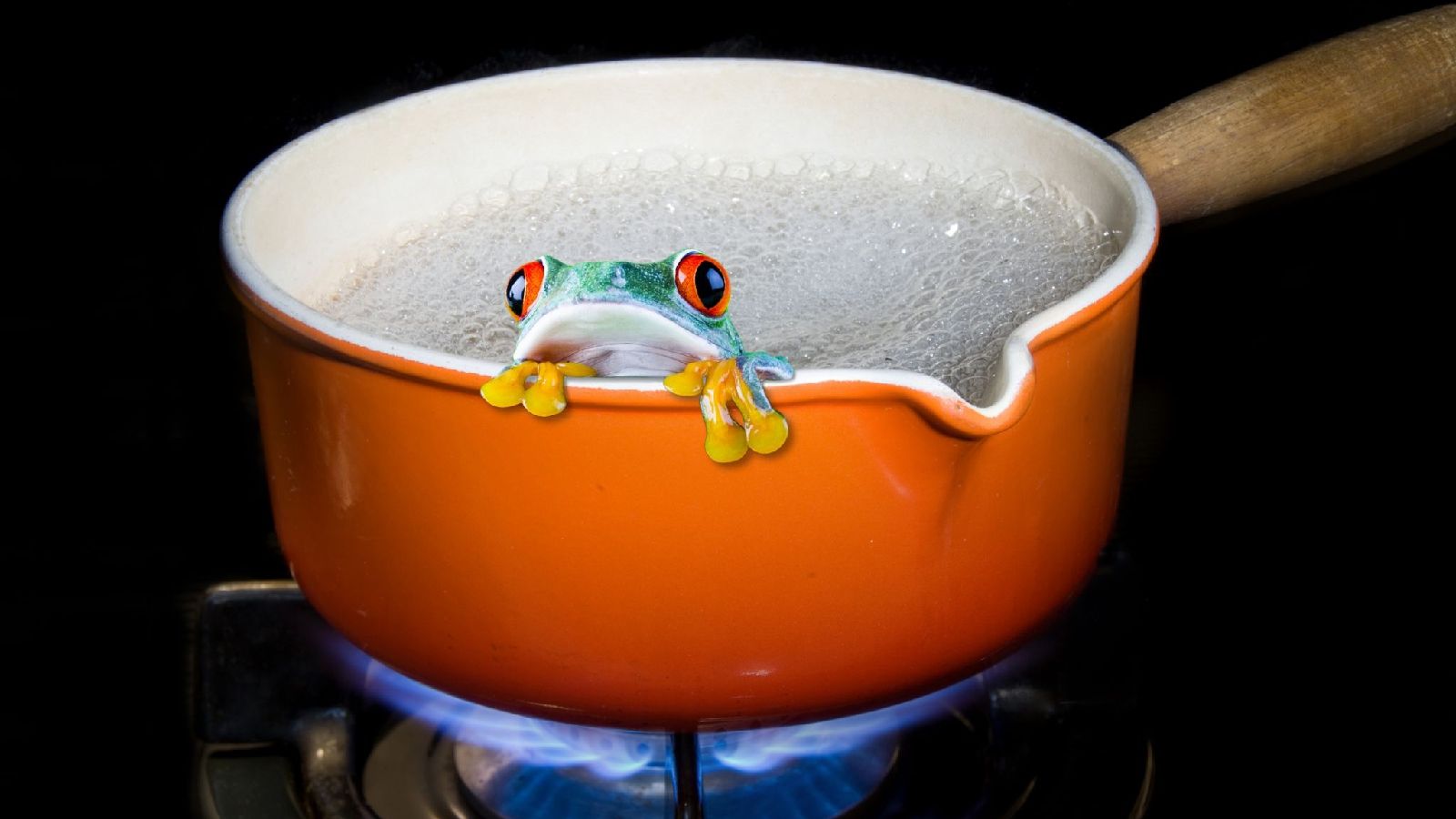 Boiling Frog or Hot Retailer?